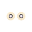 Wool Felt Flap Polishing Disc