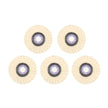 Wool Felt Flap Polishing Disc